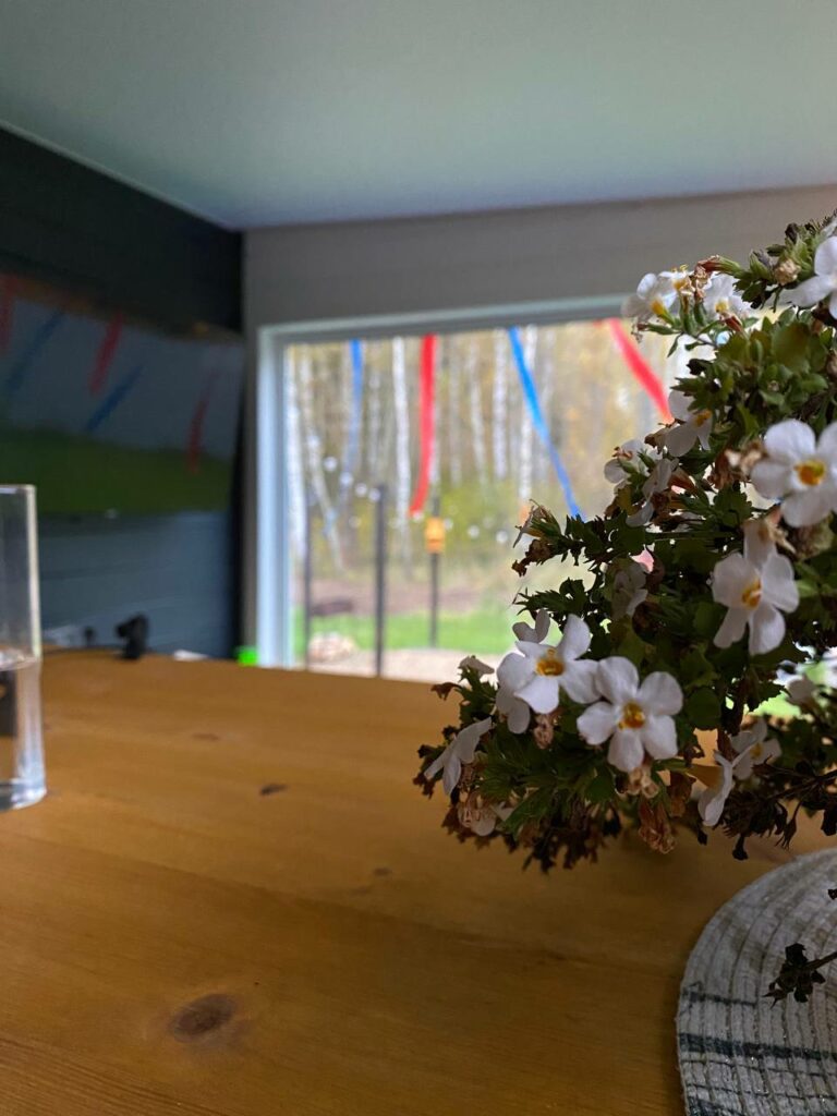 каркасный дом 